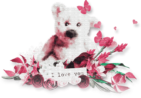 soave deco valentine flowers toy bear - png gratuito