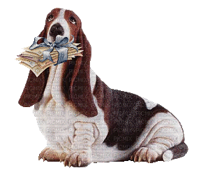 Dog Holding Mail - GIF animate gratis