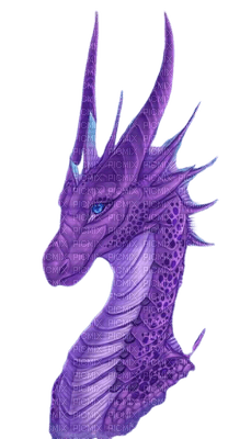 dragon by estrellacristal - kostenlos png