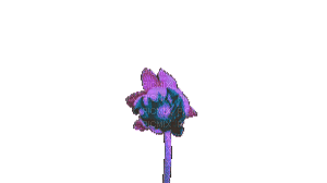 Nina flower - Bezmaksas animēts GIF