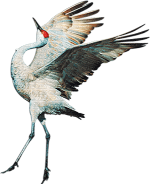 soave deco bird crane black white red brown - bezmaksas png