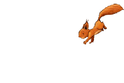 piwik - Darmowy animowany GIF