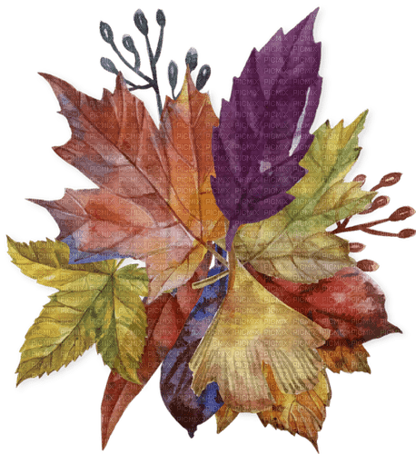 AUTUMN LEAVES DECO automne feuilles 🍁🍁 - безплатен png