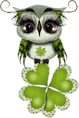 Kaz_Creations Birds Bird Owls Owl - png grátis