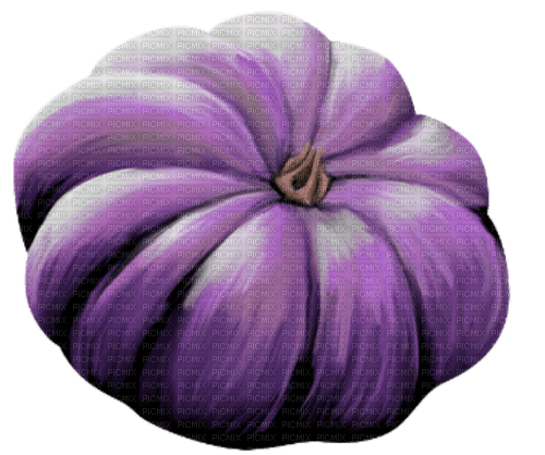 purple pumpkin Bb2 - безплатен png