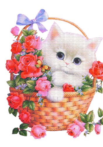 dolceluna spring summer cat - PNG gratuit