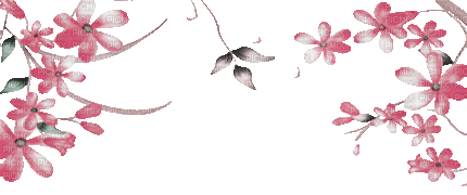 soave deco flowers  branch animated frame - Free animated GIF