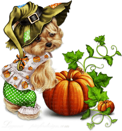 soave dog pumpkin halloween witch animals - png gratuito