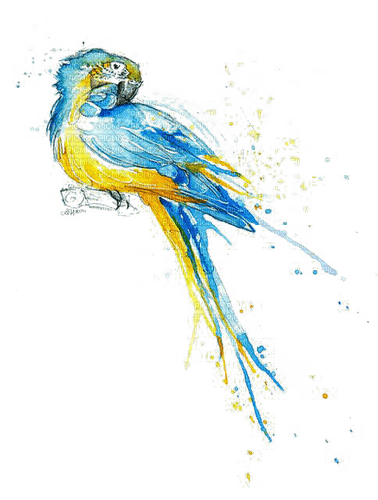 blau gelb gemalter vogel - zdarma png