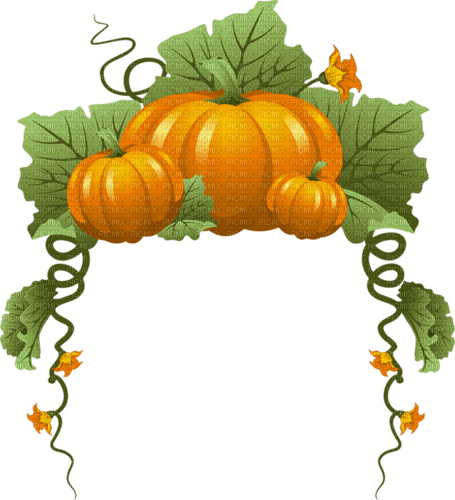Cadre Halloween citrouille - бесплатно png