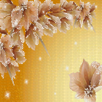background hintergrund fondo flowers - Ilmainen animoitu GIF