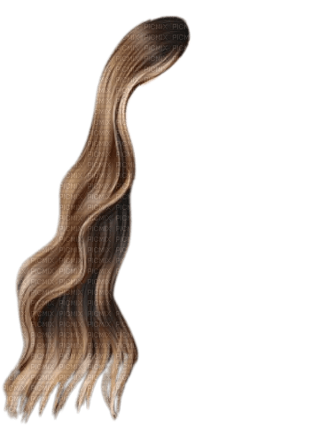 cheveux  (droite) - kostenlos png