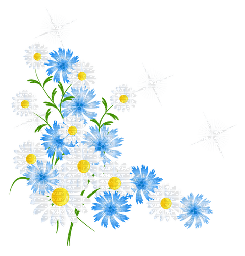 Cornflowers and Daisy - Free PNG