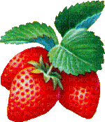 fraise - GIF animé gratuit