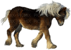 Kaz_Creations Animals Pony - PNG gratuit