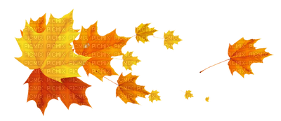Kaz_Creations Autumn Fall Leaves Leafs - δωρεάν png