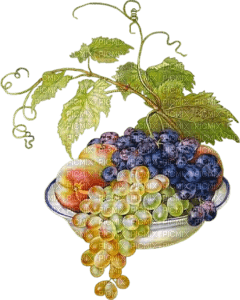 grapes Bb2 - png gratis