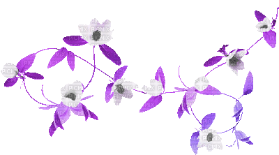 soave deco branch animated spring flowers - GIF animado gratis