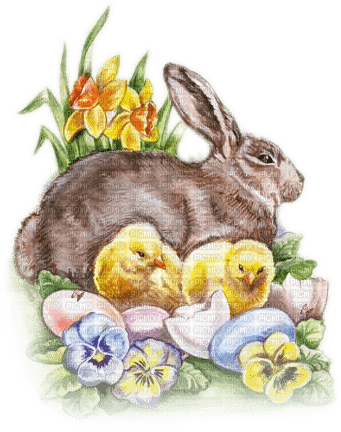SOAVE EASTER ANIMALS  bunny chick yellow pink - безплатен png