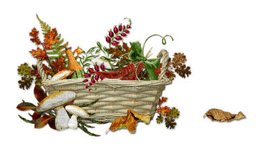 syksy, autumn, sisustus, decor - фрее пнг