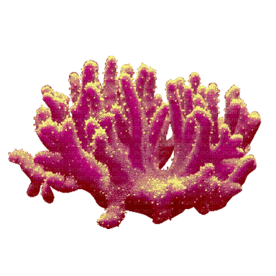 underwater plants anemone sous-marin - png ฟรี