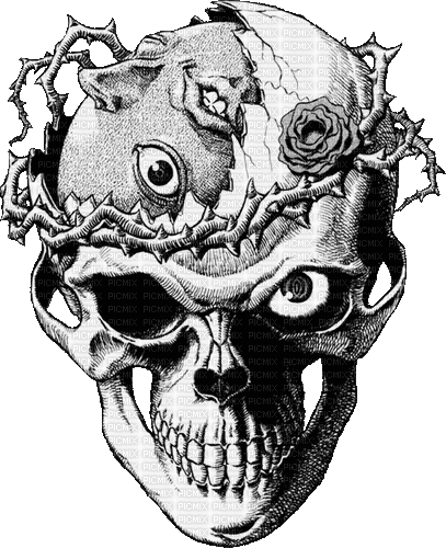 Berserk Skull Egg - Animovaný GIF zadarmo