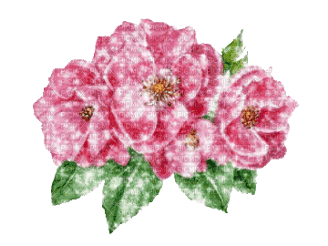 pink flowers - Bezmaksas animēts GIF