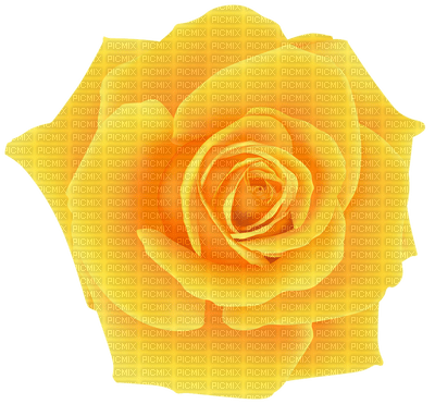 yellow rose - 免费PNG