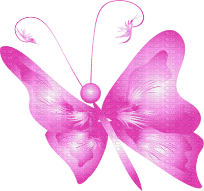 Butterfly- pages -2 - png grátis