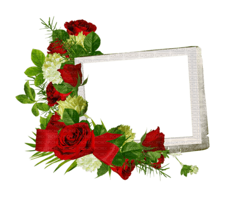 Garden roses Frame Paper - PNG gratuit