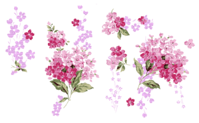 flowers - zadarmo png