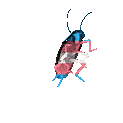 trans dancing cockroach - Free animated GIF