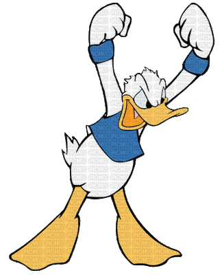 donald duck - Animovaný GIF zadarmo