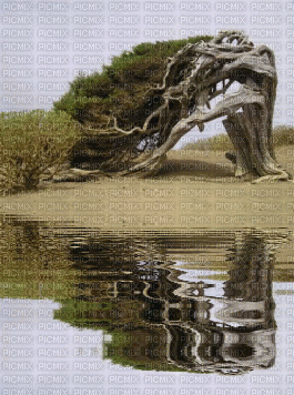 landscape bp - Darmowy animowany GIF