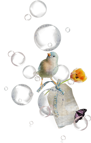 Pticica - PNG gratuit