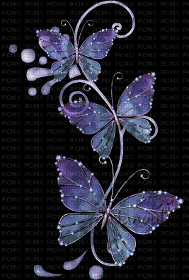 grappe papillon - Free animated GIF