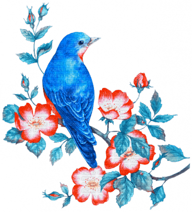 soave deco vintage bird  flowers blue orange - png ฟรี
