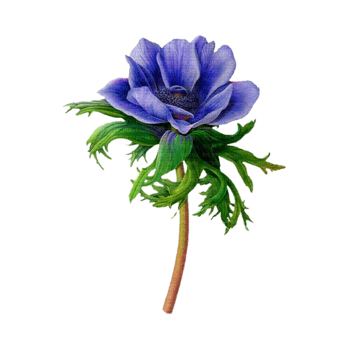 kikkapink deco scrap blue flower - png ฟรี