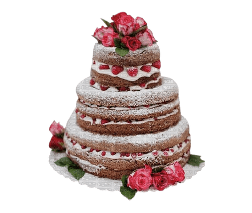 Birthday cake - PNG gratuit