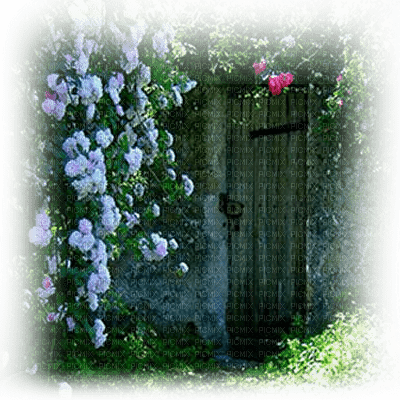 jardin puerta dubravka4 - Free PNG