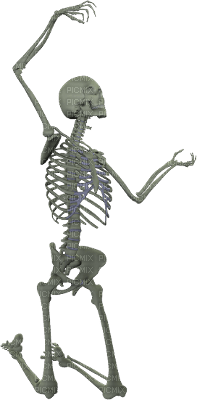 skeleton - png grátis