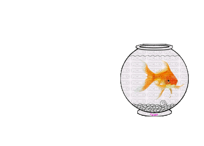 fish - GIF animasi gratis