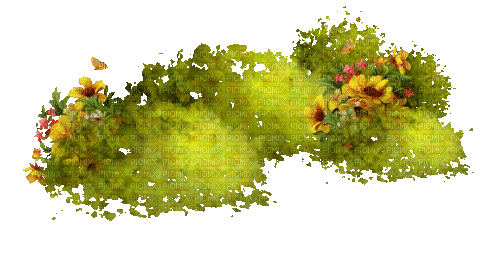 grass flower - Bezmaksas animēts GIF