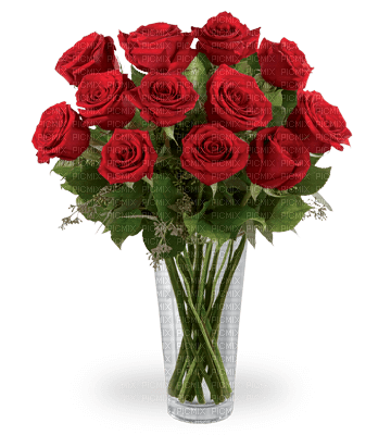 blommor-rosor-buket - zdarma png