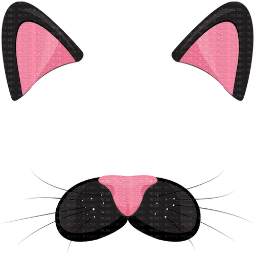 Cat, Ears, Nose - nemokama png