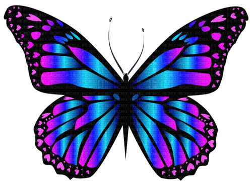 BUTTERFLY - png grátis