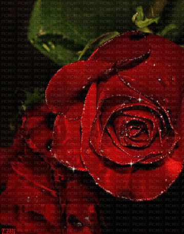 Background rose - GIF animé gratuit