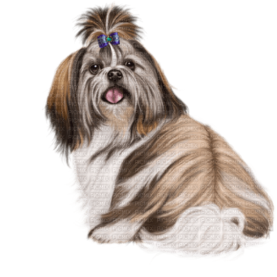Kaz_Creations Dog Pup Dogs 🐶 - kostenlos png