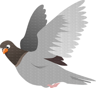 dove - бесплатно png