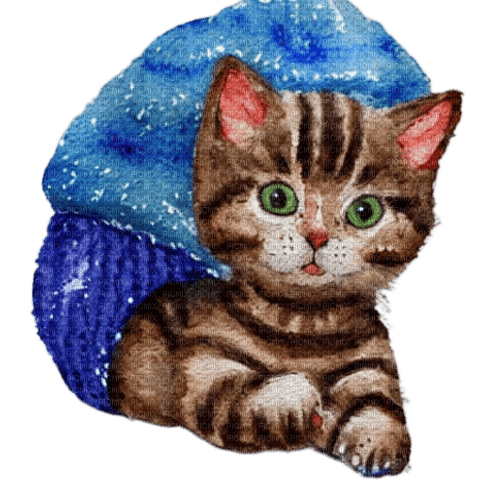 kikkapink watercolor animal winter kitten kitty - ilmainen png